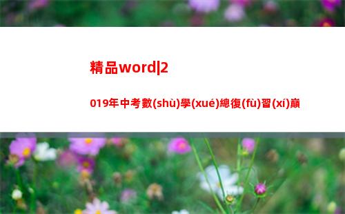 精品word|2019年中考數(shù)學(xué)總復(fù)習(xí)巔峰沖刺28講(精品word)